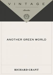 Another Green World