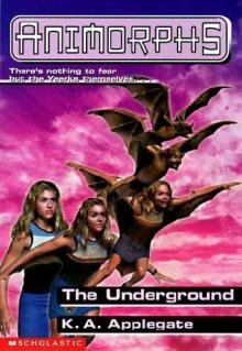 Applegate, K A - Animorphs 17 - The Underground