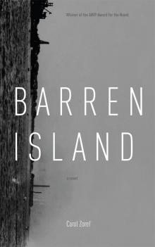 Barren Island