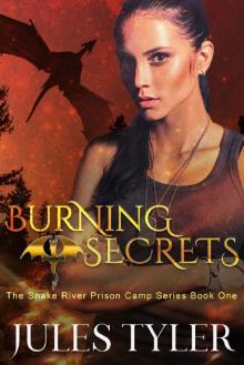 Burning Secrets (The Snake River Prison Camp Series Book 1)