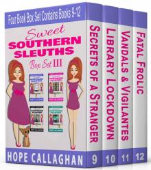 Cozy Mysteries Women Sleuths Series: Box Set III: Books 9-12