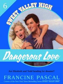 Dangerous Love