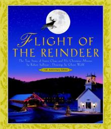 Flight of the Reindeer