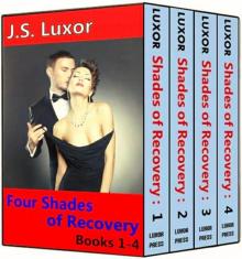 Four Shades of Recovery: Boxed Set