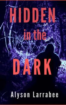 Hidden in the Dark (Harper Flagg Book 1)