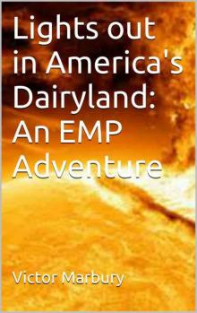 Lights out in America's Dairyland: An EMP Adventure