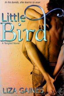 Little Bird (The Tangled Series)