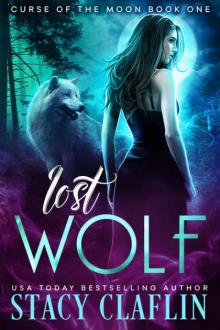 Lost Wolf