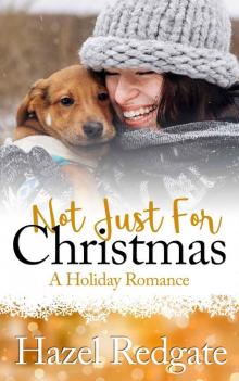 Not Just For Christmas_A Holiday Romance