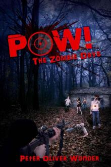 POW! (Book 1): The Zombie Days