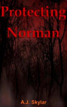 Protecting Norman (Book 1)