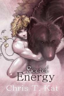 Secret Energy (Shifters Book 2)