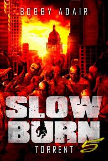 Slow Burn (Book 5): Torrent