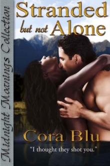 Stranded but not Alone (Midnight Moanings Collection)