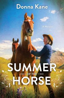 Summer of the Horse