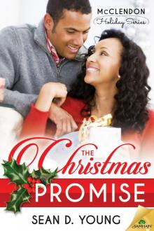 The Christmas Promise