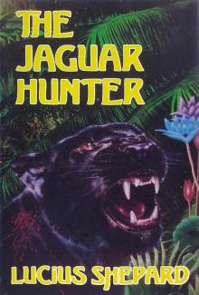 The Jaguar Hunter