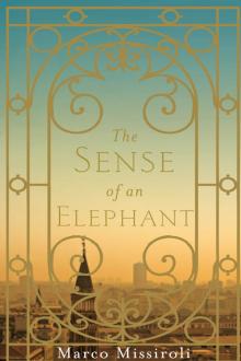 The Sense of an Elephant