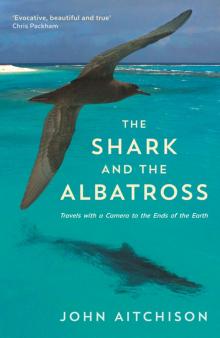 The Shark and the Albatross