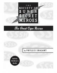 The Society of Super Secret Heroes