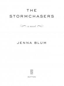 The Stormchasers: A Novel