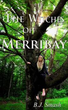 The Witches of Merribay (The Seaforth Chronicles)