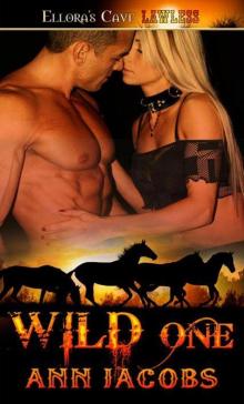 Wild One: 3 (Caden Kink)