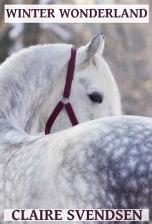 Winter Wonderland (Show Jumping Dreams ~ Book 13)