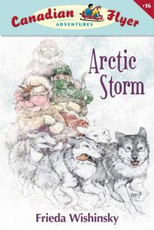 Arctic Storm