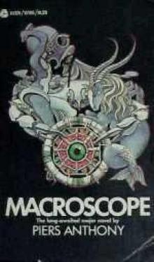 Macroscope