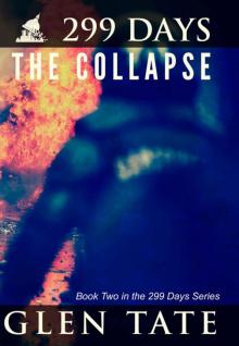 299 Days: The Collapse 2d-2