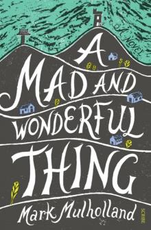 A Mad and Wonderful Thing