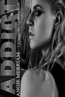 Addict (The Laundromat Chronicles Book 2)