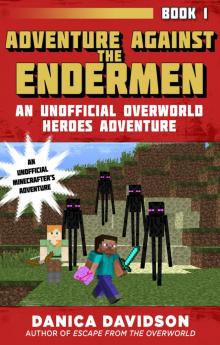 Adventure Against the Endermen