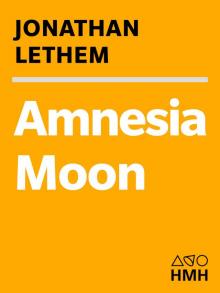 Amnesia Moon