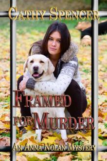 Framed For Murder (An Anna Nolan Mystery)