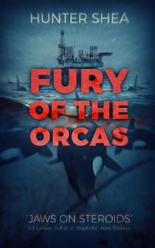 Fury Of The Orcas