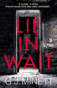 Lie in Wait: A dark and gripping crime thriller