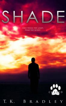 Shade (Shade Chronicles Book 1)