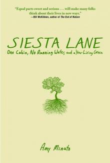 Siesta Lane