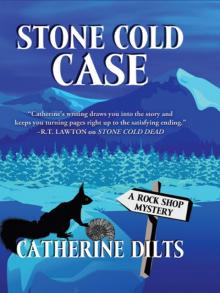 Stone Cold Case (A Rock Shop Mystery)