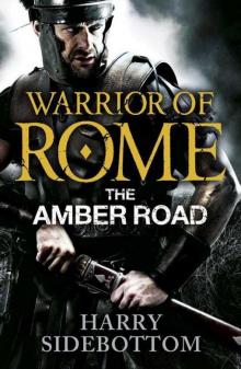 The Amber Road wor-6