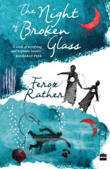 The Night of Broken Glass