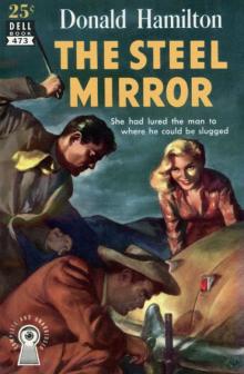 The Steel Mirror