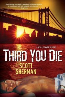 Third You Die (kevin connor mysteries)