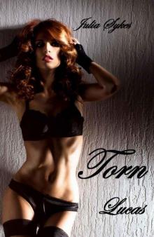 Torn: Caught between the Billionaires, Book 1: Lucas