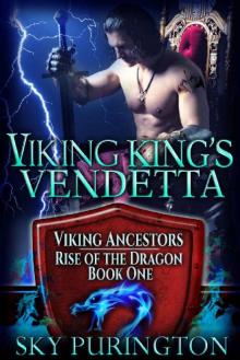 Viking King's Vendetta