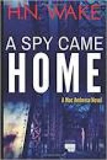 A Spy Came Home (Mac Ambrose Book 1)