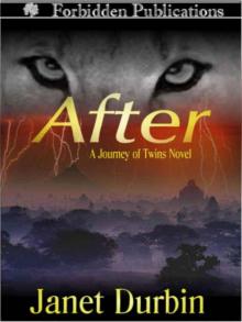 After [A Journey of the Twins Novel]