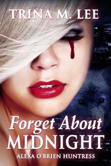 Alexa O'Brien, Huntress 09 - Forget About Midnight